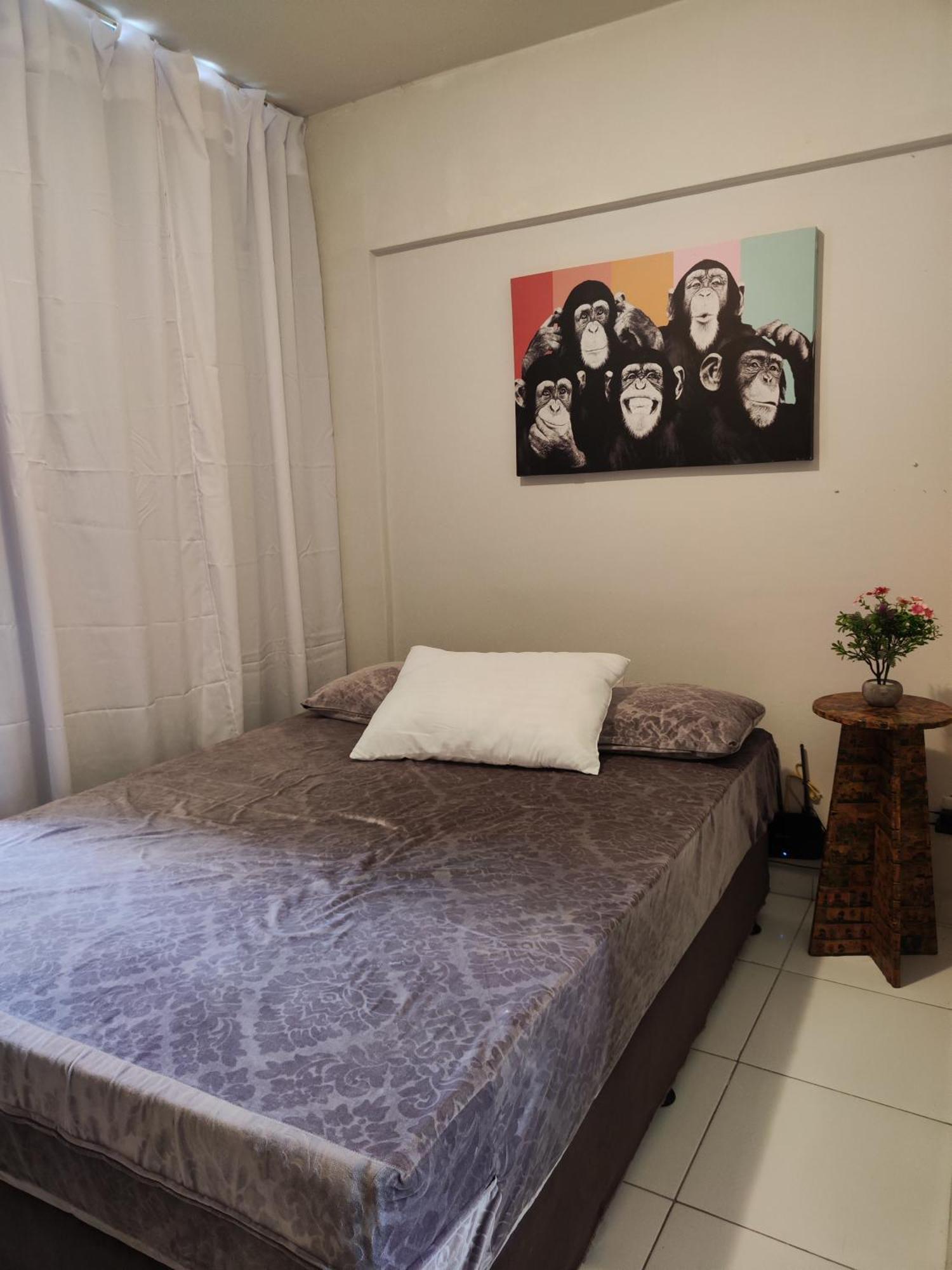 Ape Marias - Boa Vista Apartment